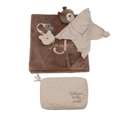 Baby Plush Blanket Gift Set