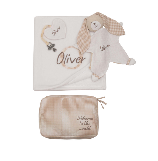 Baby Plush Blanket Gift Set