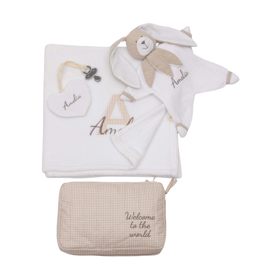 Baby Plush Blanket Gift Set